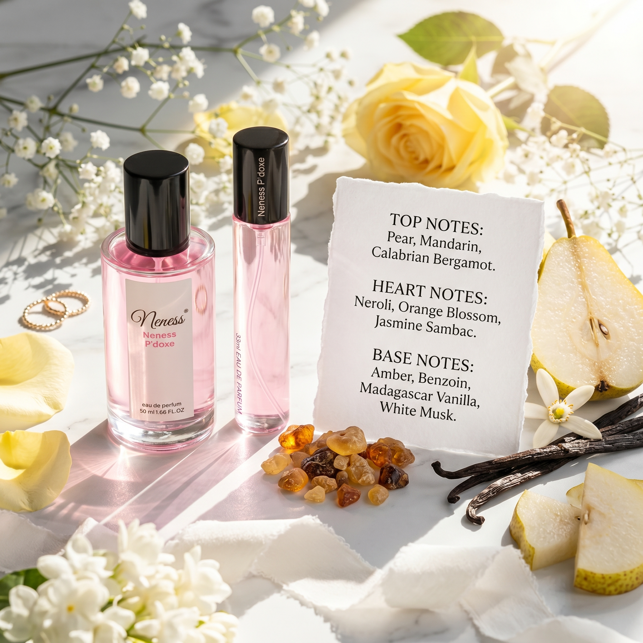 N253. Neness P'doxe - Bundle